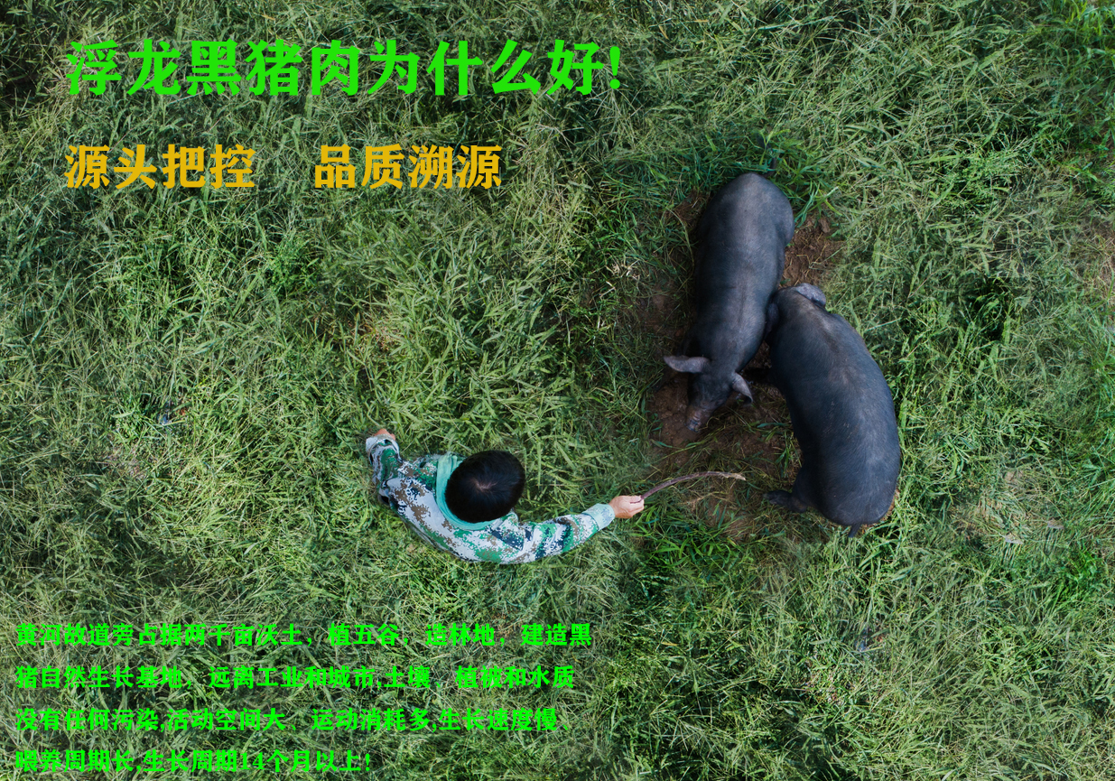 肋排 生态黑猪肉(图1)