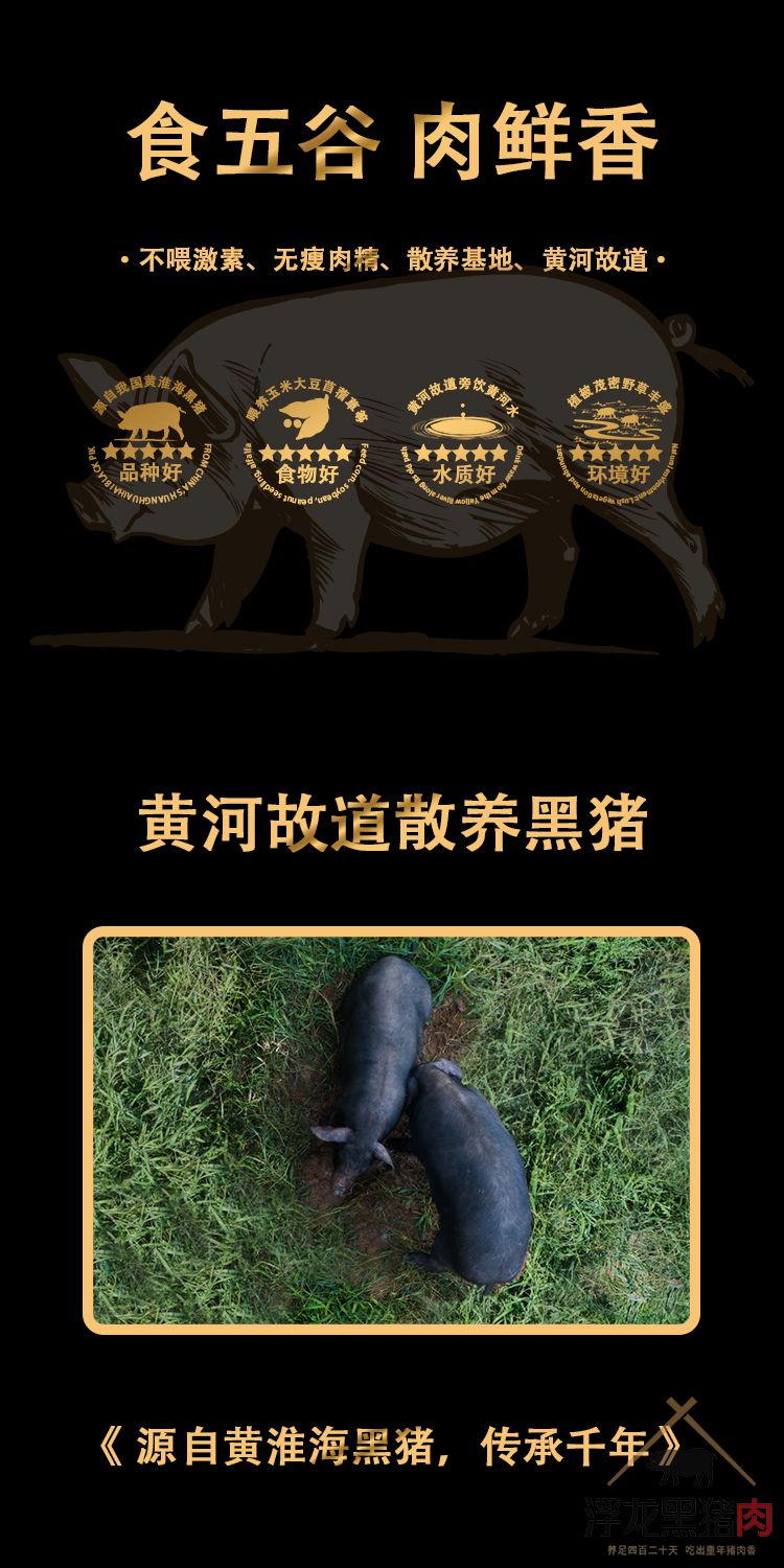 通排 生态黑猪肉(图2)