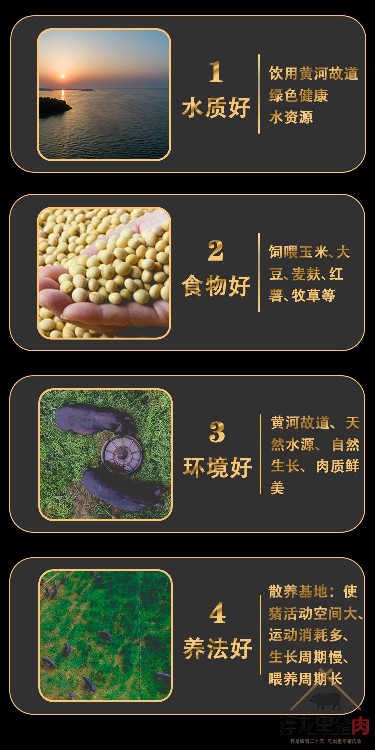 前腿肉 生态黑猪肉(图4)